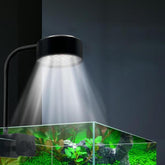 Aquarium LED Clip Light 8W with 3 Color Modes